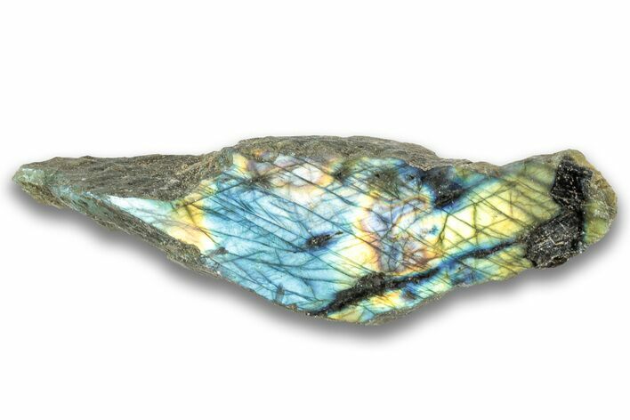 Single Side Polished Labradorite Section - Madagascar #324673